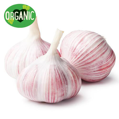 Garlic Organic | Harris Farm Online