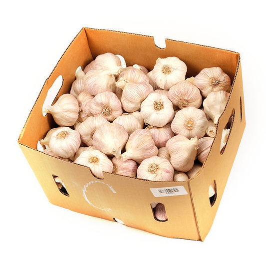 Garlic CATERING (box 10kg) , Wholesale - HFM, Harris Farm Markets
