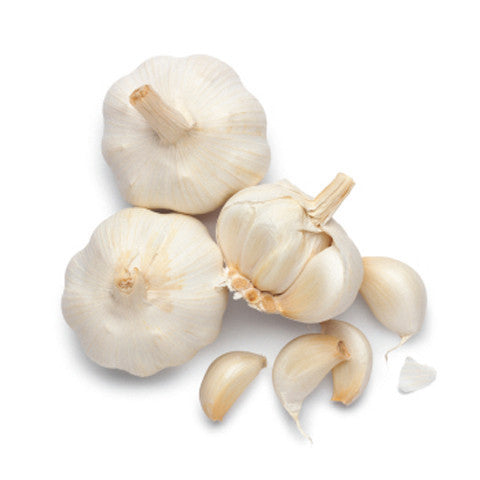 Garlic Organic | Harris Farm Online
