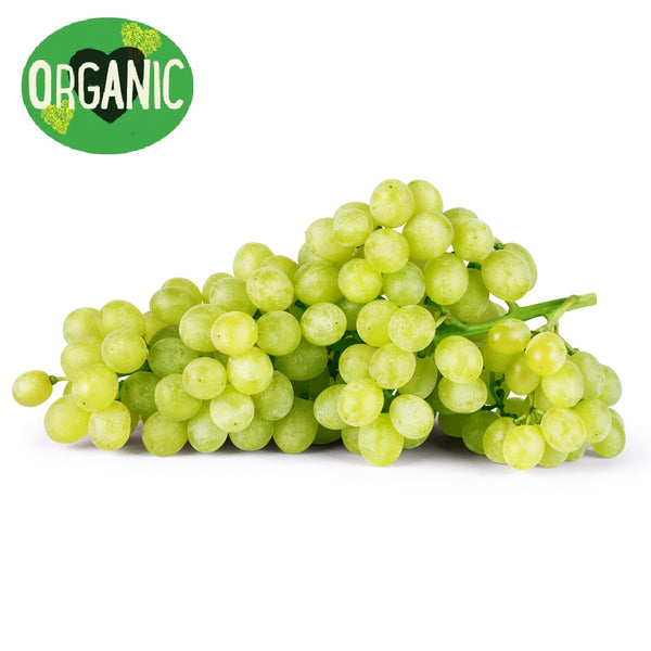 Grapes White Seedless Organic | Harris Farm Online