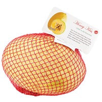 Melon Honey Kiss Rockmelon