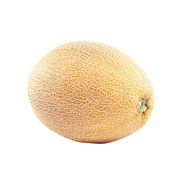 Melon Honey Kiss Rockmelon
