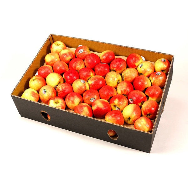 Apples Pink Lady CATERING (box 12kg) , Wholesale - HFM, Harris Farm Markets
