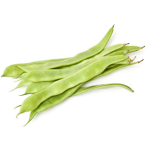 Beans Italian | Harris Farm Online