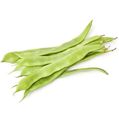 Beans Italian | Harris Farm Online
