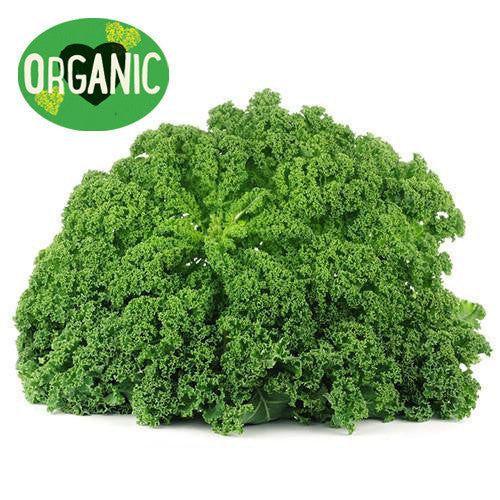 Kale Organic  | Harris Farm Online