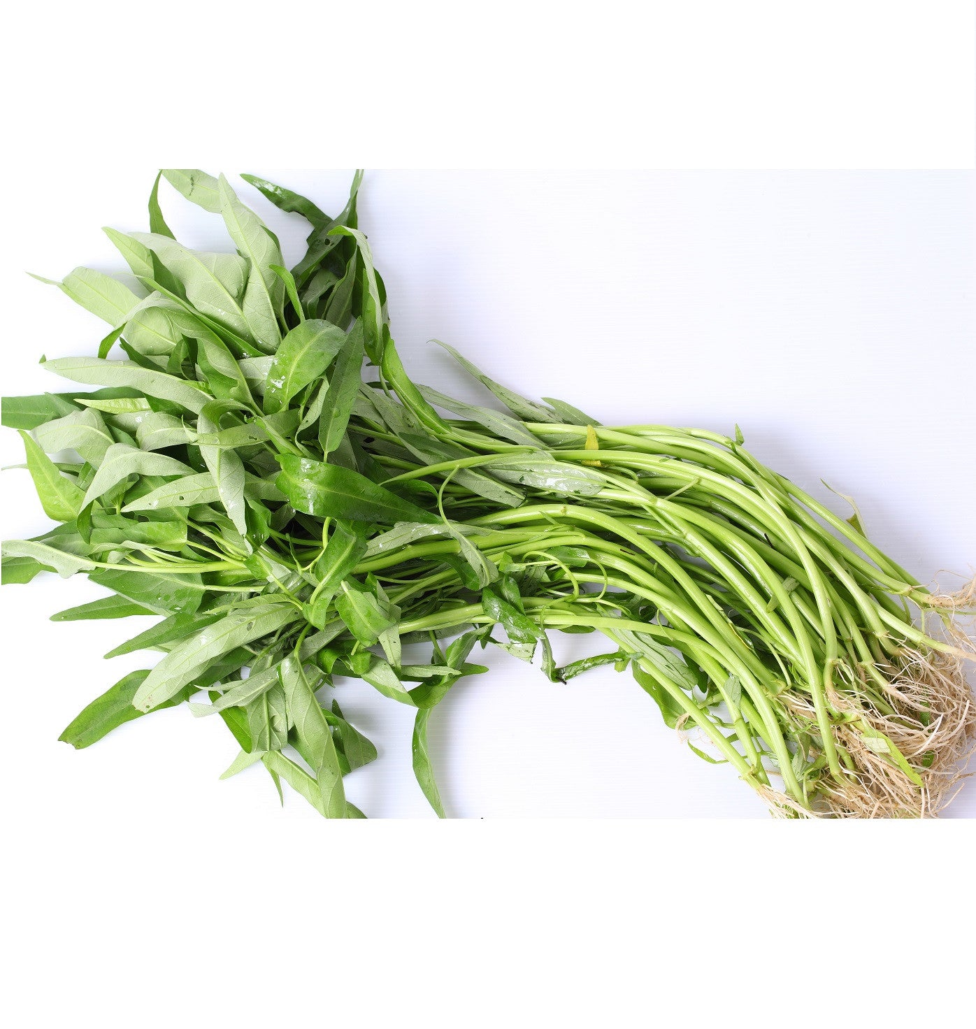 Hung Choy (bunch) , S09M-Veg - HFM, Harris Farm Markets
