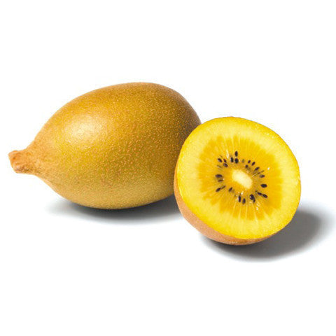 Kiwifruit Gold (each) , S07S-Fruit - HFM, Harris Farm Markets
