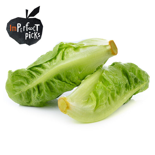 Lettuce Cos Baby Imperfect Pick Value Range (each) , S04S-Veg - HFM, Harris Farm Markets

