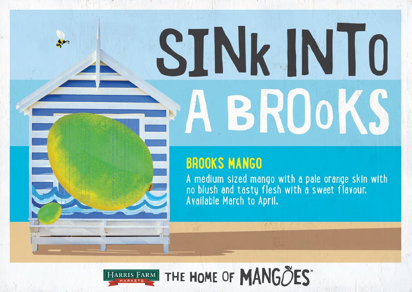 Mango Brooks Each