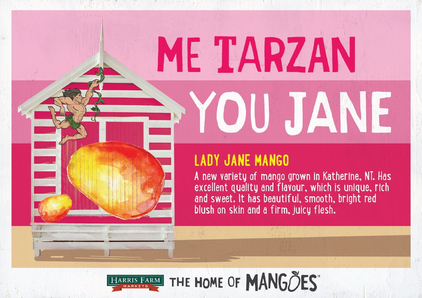 Mango Lady Jane Each