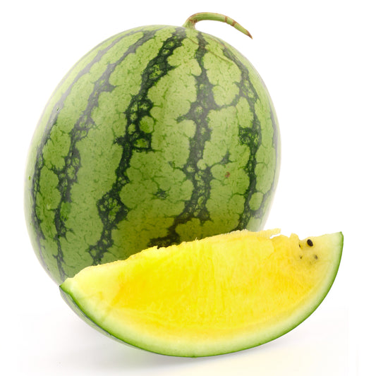  Melon Champagne | Harris Farm Online