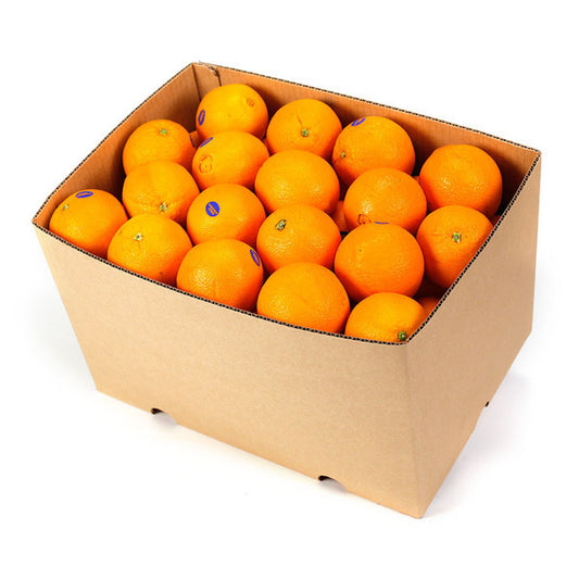 Oranges Navel CATERING (box 15kg) , Wholesale - HFM, Harris Farm Markets

