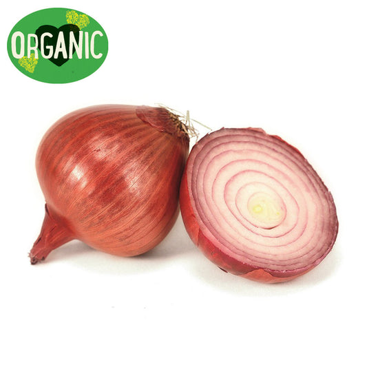 Onion Red Spanish Organic Each