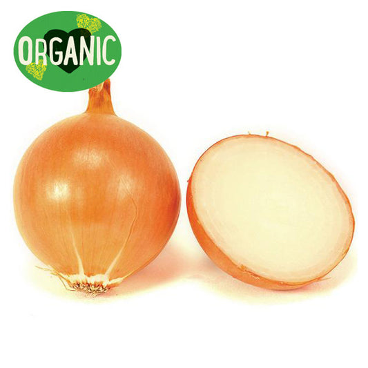 Onion Brown Organic Each