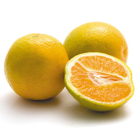 Oranges Valencia (each) , S07H-Fruit - HFM, Harris Farm Markets
