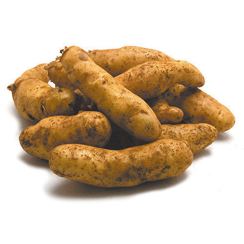 Fresh Potatoes Kipfler | Harris Farm Online