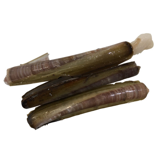 Razor Clams in the Shell | Harris Farm Online