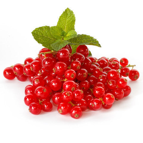 Redcurrants (125g punnet) , S08S-Fruit - HFM, Harris Farm Markets
