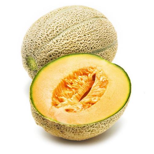 Rockmelon | Harris Farm Online