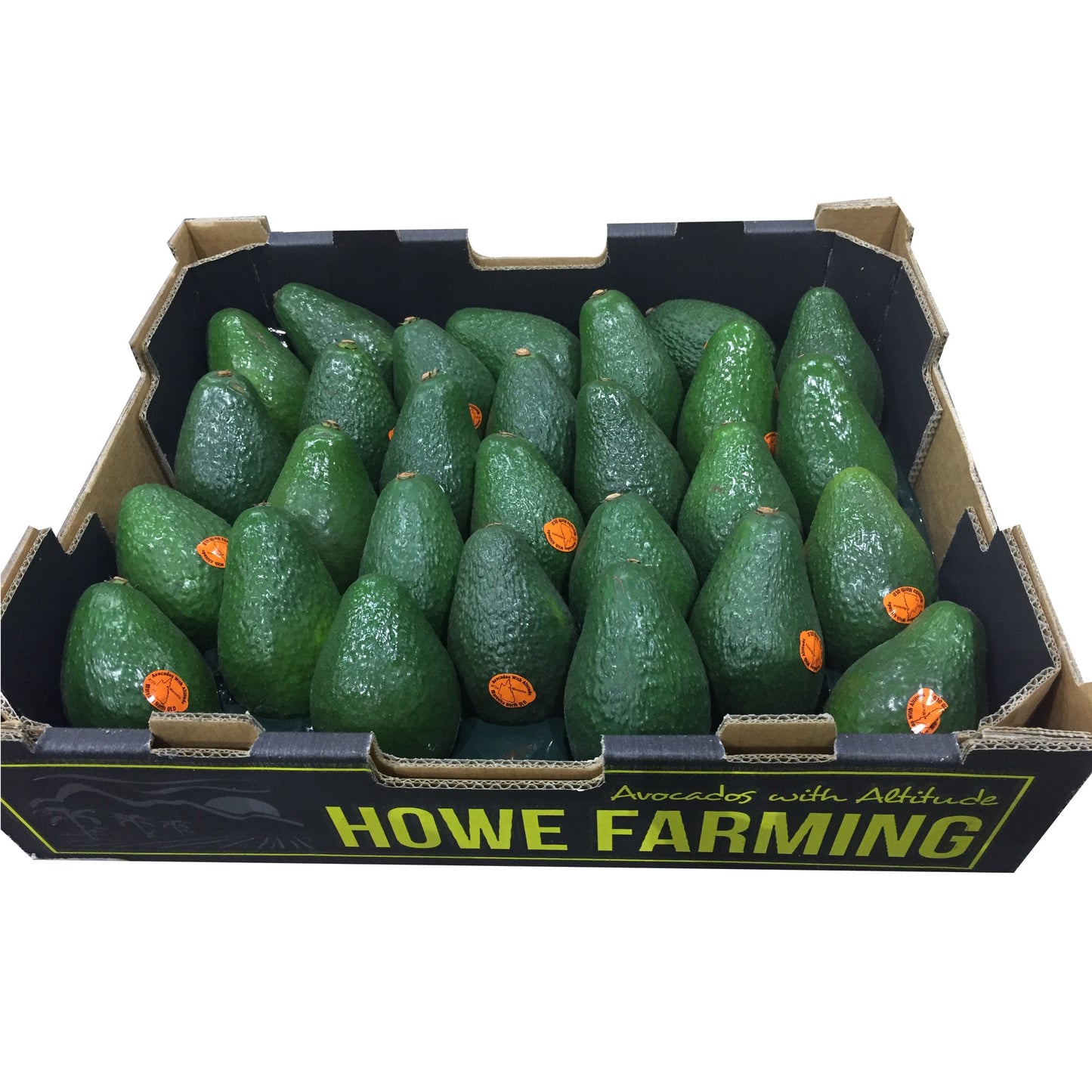 Avocados (Tray Sale) | Harris Farm Online