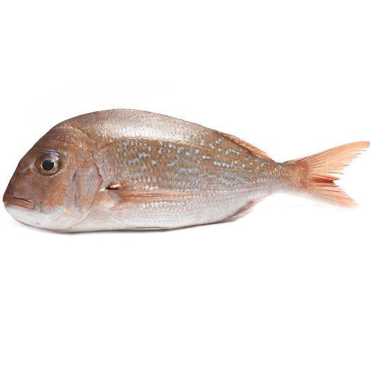 Fish in the Family Wild Caught Medium Snapper Scaled and Gutted min 1k ...