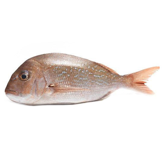 Fish in the Family Wild Caught Baby Snapper Scaled and Gutted min 450g ...