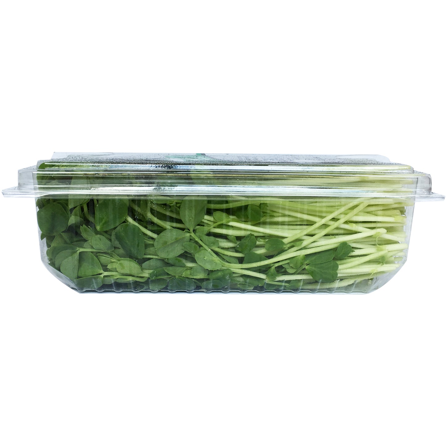 Sprouts Snow Pea 100g