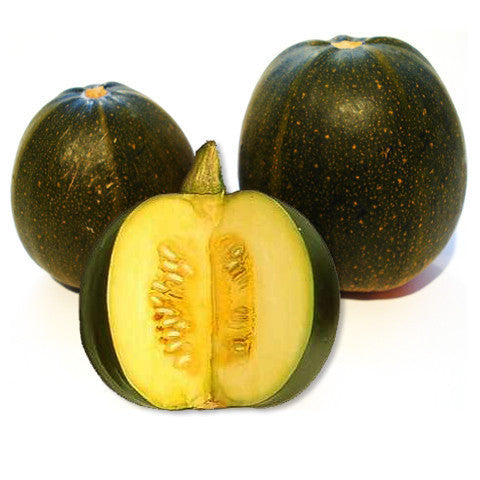Squash S.A. Gem (each) , S03H-Veg - HFM, Harris Farm Markets
