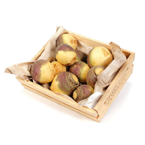 Swedes CATERING (bag 10kg) , Wholesale - HFM, Harris Farm Markets
