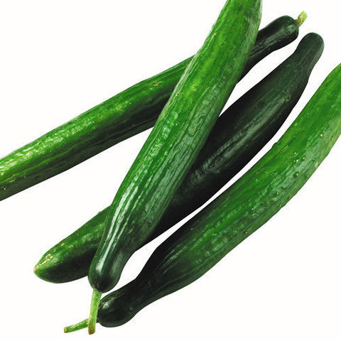 Cucumbers Telegraph Bag (Bag of 15) , Whsl-Veg - HFM, Harris Farm Markets
