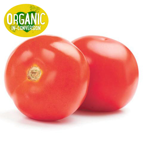Tomato Gourmet Organic 500g